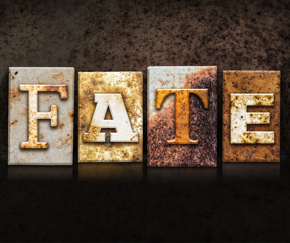 The Golden Rule: Amor Fati - Love Fate