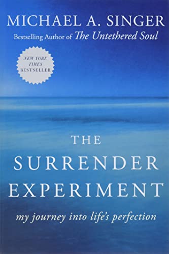 The Surrender Experiment: My Journey into Life's Perfection